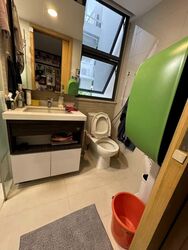 Blossom Residences (D23), Condominium #616453781